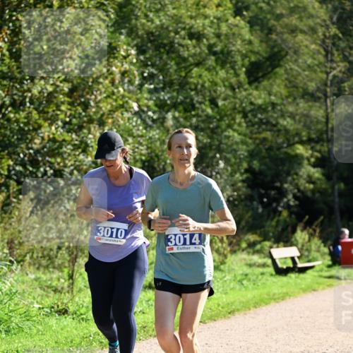 27.09.2026 - 35. Volkslauf durch das schöne Alstertal Dr. Thomas Lammeyer http://msf.ph/oto/10575317 27.09.2026 11:37:15 Laufen 3010, 3014 meine-sportfotos.de