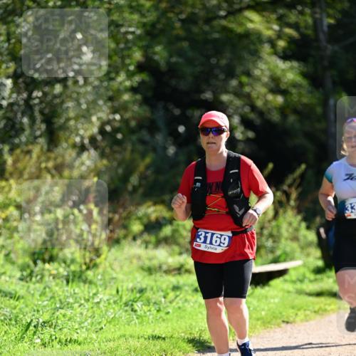 27.09.2026 - 35. Volkslauf durch das schöne Alstertal Dr. Thomas Lammeyer http://msf.ph/oto/10575329 27.09.2026 11:37:31 Laufen 3169, 33 meine-sportfotos.de