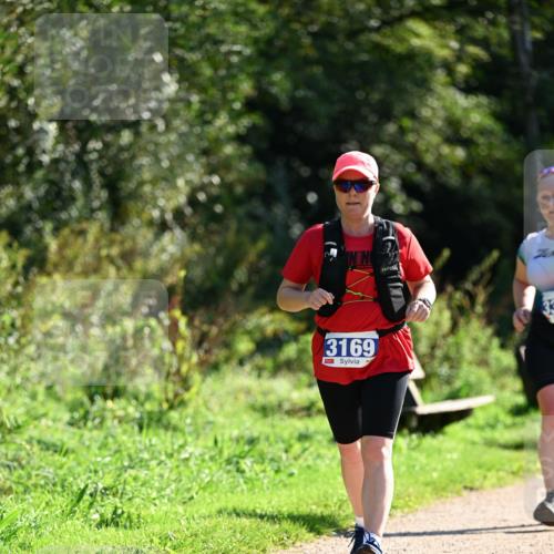 27.09.2026 - 35. Volkslauf durch das schöne Alstertal Dr. Thomas Lammeyer http://msf.ph/oto/10575330 27.09.2026 11:37:31 Laufen 3169 meine-sportfotos.de