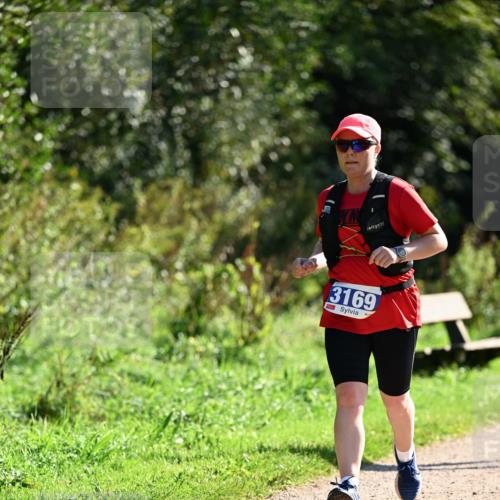 27.09.2026 - 35. Volkslauf durch das schöne Alstertal Dr. Thomas Lammeyer http://msf.ph/oto/10575334 27.09.2026 11:37:31 Laufen 3169 meine-sportfotos.de