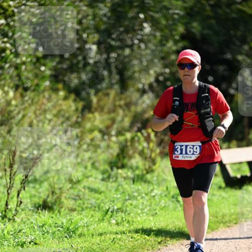 27.09.2026 - 35. Volkslauf durch das schöne Alstertal Dr. Thomas Lammeyer http://msf.ph/oto/10575338 27.09.2026 11:37:31 Laufen 3169 meine-sportfotos.de