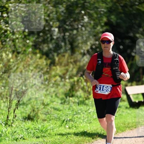 27.09.2026 - 35. Volkslauf durch das schöne Alstertal Dr. Thomas Lammeyer http://msf.ph/oto/10575339 27.09.2026 11:37:31 Laufen 3169 meine-sportfotos.de