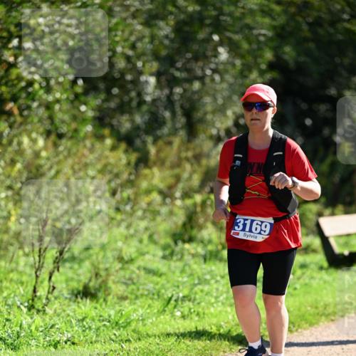 27.09.2026 - 35. Volkslauf durch das schöne Alstertal Dr. Thomas Lammeyer http://msf.ph/oto/10575340 27.09.2026 11:37:32 Laufen 3169 meine-sportfotos.de