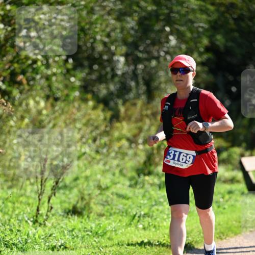 27.09.2026 - 35. Volkslauf durch das schöne Alstertal Dr. Thomas Lammeyer http://msf.ph/oto/10575342 27.09.2026 11:37:32 Laufen 3169 meine-sportfotos.de