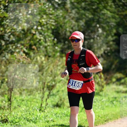 27.09.2026 - 35. Volkslauf durch das schöne Alstertal Dr. Thomas Lammeyer http://msf.ph/oto/10575349 27.09.2026 11:37:32 Laufen 3169 meine-sportfotos.de