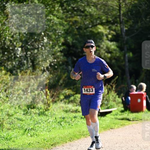 27.09.2026 - 35. Volkslauf durch das schöne Alstertal Dr. Thomas Lammeyer http://msf.ph/oto/10575373 27.09.2026 11:37:40 Laufen 1433 meine-sportfotos.de