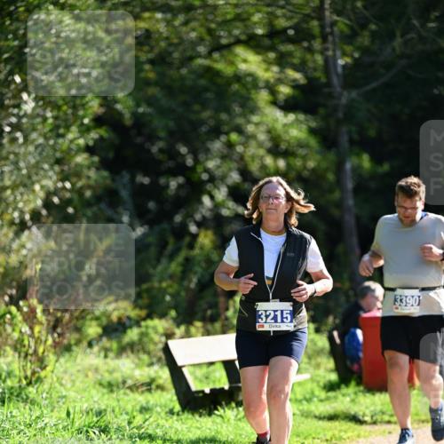 27.09.2026 - 35. Volkslauf durch das schöne Alstertal Dr. Thomas Lammeyer http://msf.ph/oto/10575397 27.09.2026 11:37:47 Laufen 3215, 3390 meine-sportfotos.de