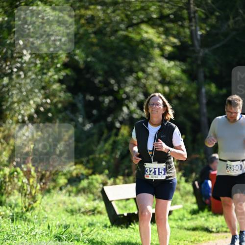 27.09.2026 - 35. Volkslauf durch das schöne Alstertal Dr. Thomas Lammeyer http://msf.ph/oto/10575399 27.09.2026 11:37:47 Laufen 3215, 3390 meine-sportfotos.de