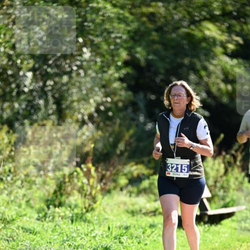 27.09.2026 - 35. Volkslauf durch das schöne Alstertal Dr. Thomas Lammeyer http://msf.ph/oto/10575407 27.09.2026 11:37:48 Laufen 3215 meine-sportfotos.de
