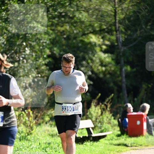 27.09.2026 - 35. Volkslauf durch das schöne Alstertal Dr. Thomas Lammeyer http://msf.ph/oto/10575417 27.09.2026 11:37:50 Laufen 3390 meine-sportfotos.de