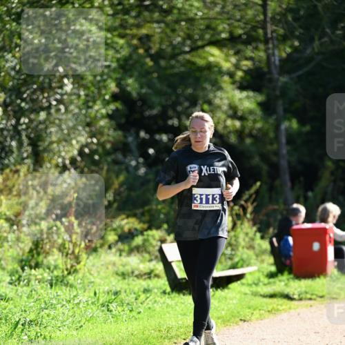 27.09.2026 - 35. Volkslauf durch das schöne Alstertal Dr. Thomas Lammeyer http://msf.ph/oto/10575429 27.09.2026 11:37:54 Laufen 3113 meine-sportfotos.de