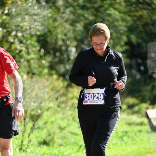 27.09.2026 - 35. Volkslauf durch das schöne Alstertal Dr. Thomas Lammeyer http://msf.ph/oto/10575502 27.09.2026 11:38:19 Laufen 3029 meine-sportfotos.de