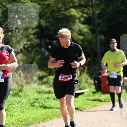27.09.2026 - 35. Volkslauf durch das schöne Alstertal Dr. Thomas Lammeyer http://msf.ph/oto/10575515 27.09.2026 11:38:28 Laufen 7, 145 meine-sportfotos.de