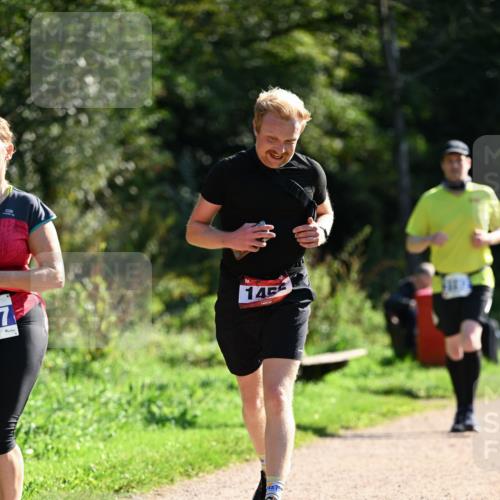 27.09.2026 - 35. Volkslauf durch das schöne Alstertal Dr. Thomas Lammeyer http://msf.ph/oto/10575516 27.09.2026 11:38:28 Laufen 145 meine-sportfotos.de