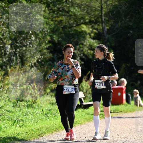 27.09.2026 - 35. Volkslauf durch das schöne Alstertal Dr. Thomas Lammeyer http://msf.ph/oto/10575554 27.09.2026 11:38:40 Laufen 3266, 3267 meine-sportfotos.de
