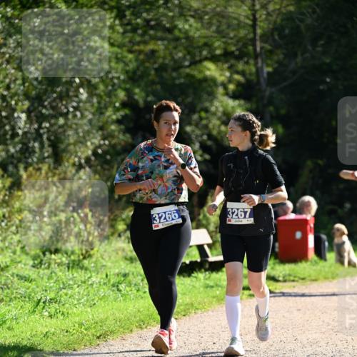 27.09.2026 - 35. Volkslauf durch das schöne Alstertal Dr. Thomas Lammeyer http://msf.ph/oto/10575556 27.09.2026 11:38:40 Laufen 3266, 3267 meine-sportfotos.de