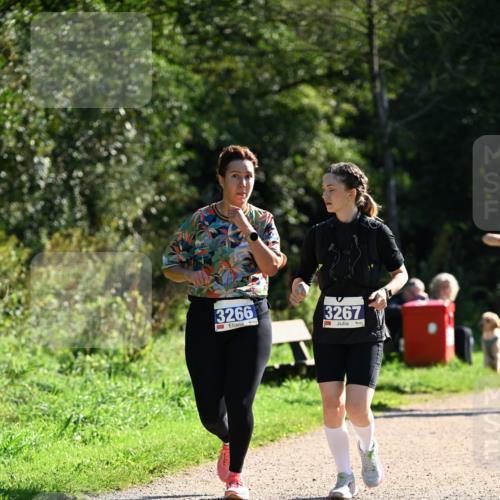 27.09.2026 - 35. Volkslauf durch das schöne Alstertal Dr. Thomas Lammeyer http://msf.ph/oto/10575557 27.09.2026 11:38:40 Laufen 3266, 3267 meine-sportfotos.de