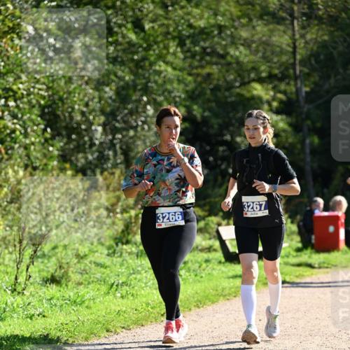27.09.2026 - 35. Volkslauf durch das schöne Alstertal Dr. Thomas Lammeyer http://msf.ph/oto/10575562 27.09.2026 11:38:40 Laufen 3266, 3267 meine-sportfotos.de