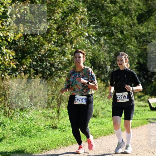 27.09.2026 - 35. Volkslauf durch das schöne Alstertal Dr. Thomas Lammeyer http://msf.ph/oto/10575576 27.09.2026 11:38:42 Laufen 3266, 3267 meine-sportfotos.de