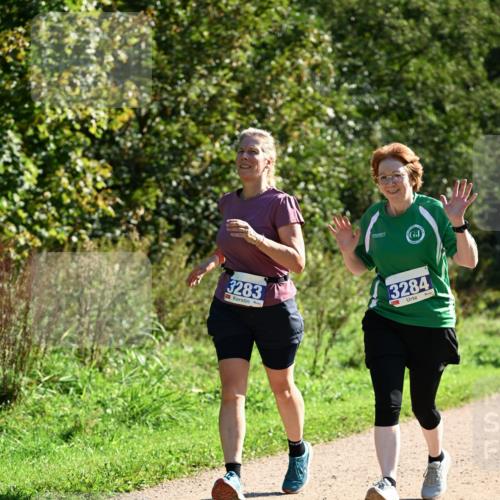 27.09.2026 - 35. Volkslauf durch das schöne Alstertal Dr. Thomas Lammeyer http://msf.ph/oto/10575614 27.09.2026 11:38:47 Laufen 3283, 3284 meine-sportfotos.de