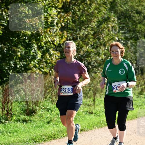 27.09.2026 - 35. Volkslauf durch das schöne Alstertal Dr. Thomas Lammeyer http://msf.ph/oto/10575620 27.09.2026 11:38:47 Laufen 3283, 323 meine-sportfotos.de