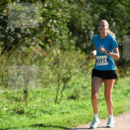 27.09.2026 - 35. Volkslauf durch das schöne Alstertal Dr. Thomas Lammeyer http://msf.ph/oto/10575638 27.09.2026 11:38:51 Laufen 3124 meine-sportfotos.de