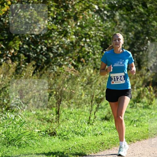 27.09.2026 - 35. Volkslauf durch das schöne Alstertal Dr. Thomas Lammeyer http://msf.ph/oto/10575642 27.09.2026 11:38:51 Laufen 3124 meine-sportfotos.de