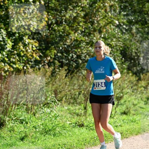 27.09.2026 - 35. Volkslauf durch das schöne Alstertal Dr. Thomas Lammeyer http://msf.ph/oto/10575648 27.09.2026 11:38:52 Laufen 3124 meine-sportfotos.de