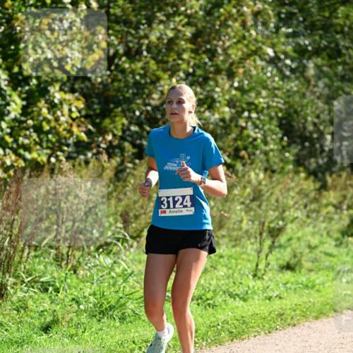 27.09.2026 - 35. Volkslauf durch das schöne Alstertal Dr. Thomas Lammeyer http://msf.ph/oto/10575652 27.09.2026 11:38:52 Laufen 3124 meine-sportfotos.de