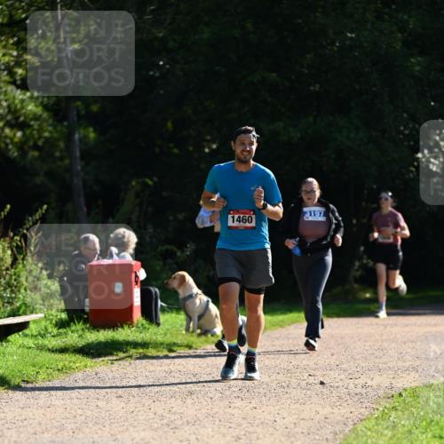 27.09.2026 - 35. Volkslauf durch das schöne Alstertal Dr. Thomas Lammeyer http://msf.ph/oto/10575677 27.09.2026 11:39:00 Laufen 3197, 1460 meine-sportfotos.de