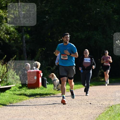 27.09.2026 - 35. Volkslauf durch das schöne Alstertal Dr. Thomas Lammeyer http://msf.ph/oto/10575679 27.09.2026 11:39:00 Laufen 1460, 3197 meine-sportfotos.de