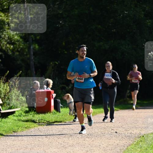 27.09.2026 - 35. Volkslauf durch das schöne Alstertal Dr. Thomas Lammeyer http://msf.ph/oto/10575680 27.09.2026 11:39:00 Laufen 1460, 3197 meine-sportfotos.de