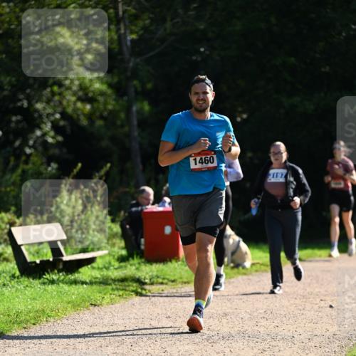 27.09.2026 - 35. Volkslauf durch das schöne Alstertal Dr. Thomas Lammeyer http://msf.ph/oto/10575690 27.09.2026 11:39:01 Laufen 1460, 3197 meine-sportfotos.de