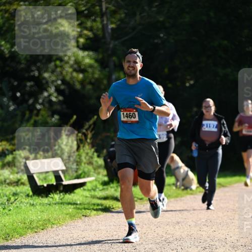 27.09.2026 - 35. Volkslauf durch das schöne Alstertal Dr. Thomas Lammeyer http://msf.ph/oto/10575694 27.09.2026 11:39:01 Laufen 1460, 3197 meine-sportfotos.de