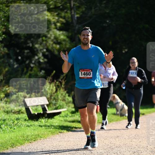 27.09.2026 - 35. Volkslauf durch das schöne Alstertal Dr. Thomas Lammeyer http://msf.ph/oto/10575696 27.09.2026 11:39:01 Laufen 1460 meine-sportfotos.de
