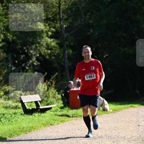 27.09.2026 - 35. Volkslauf durch das schöne Alstertal Dr. Thomas Lammeyer http://msf.ph/oto/10575771 27.09.2026 11:39:12 Laufen 1463 meine-sportfotos.de