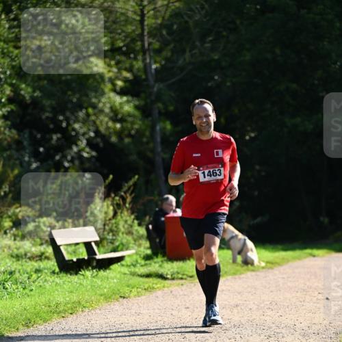 27.09.2026 - 35. Volkslauf durch das schöne Alstertal Dr. Thomas Lammeyer http://msf.ph/oto/10575774 27.09.2026 11:39:12 Laufen 1463 meine-sportfotos.de