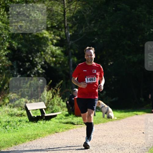 27.09.2026 - 35. Volkslauf durch das schöne Alstertal Dr. Thomas Lammeyer http://msf.ph/oto/10575775 27.09.2026 11:39:12 Laufen 1463 meine-sportfotos.de