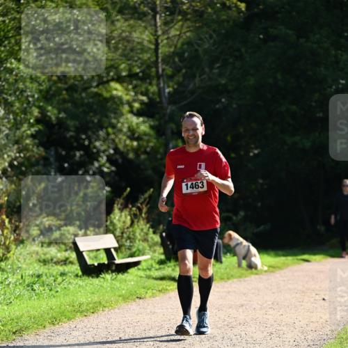 27.09.2026 - 35. Volkslauf durch das schöne Alstertal Dr. Thomas Lammeyer http://msf.ph/oto/10575777 27.09.2026 11:39:12 Laufen 1463 meine-sportfotos.de