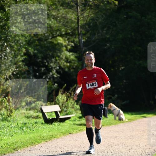 27.09.2026 - 35. Volkslauf durch das schöne Alstertal Dr. Thomas Lammeyer http://msf.ph/oto/10575779 27.09.2026 11:39:12 Laufen 1463 meine-sportfotos.de