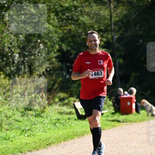 27.09.2026 - 35. Volkslauf durch das schöne Alstertal Dr. Thomas Lammeyer http://msf.ph/oto/10575787 27.09.2026 11:39:13 Laufen 1463 meine-sportfotos.de
