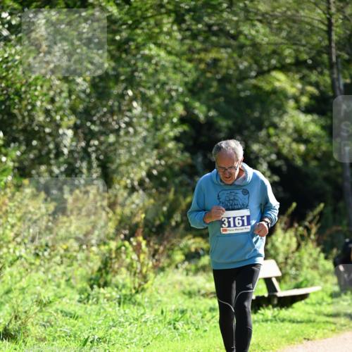 27.09.2026 - 35. Volkslauf durch das schöne Alstertal Dr. Thomas Lammeyer http://msf.ph/oto/10575800 27.09.2026 11:39:22 Laufen 3161 meine-sportfotos.de