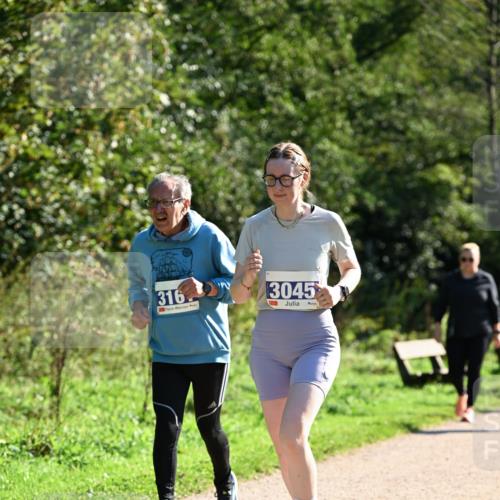 27.09.2026 - 35. Volkslauf durch das schöne Alstertal Dr. Thomas Lammeyer http://msf.ph/oto/10575822 27.09.2026 11:39:25 Laufen 316, 3045 meine-sportfotos.de