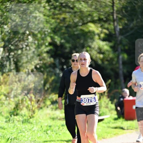 27.09.2026 - 35. Volkslauf durch das schöne Alstertal Dr. Thomas Lammeyer http://msf.ph/oto/10575826 27.09.2026 11:39:27 Laufen 3076, 13 meine-sportfotos.de