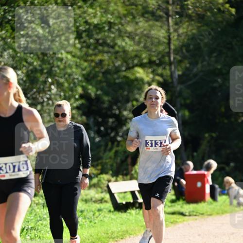 27.09.2026 - 35. Volkslauf durch das schöne Alstertal Dr. Thomas Lammeyer http://msf.ph/oto/10575838 27.09.2026 11:39:28 Laufen 3076, 3137 meine-sportfotos.de