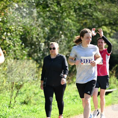 27.09.2026 - 35. Volkslauf durch das schöne Alstertal Dr. Thomas Lammeyer http://msf.ph/oto/10575846 27.09.2026 11:39:29 Laufen 3137 meine-sportfotos.de