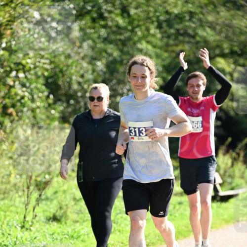 27.09.2026 - 35. Volkslauf durch das schöne Alstertal Dr. Thomas Lammeyer http://msf.ph/oto/10575849 27.09.2026 11:39:30 Laufen 313, 66 meine-sportfotos.de