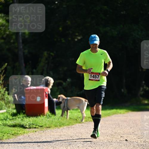 27.09.2026 - 35. Volkslauf durch das schöne Alstertal Dr. Thomas Lammeyer http://msf.ph/oto/10575882 27.09.2026 11:39:42 Laufen 1457 meine-sportfotos.de