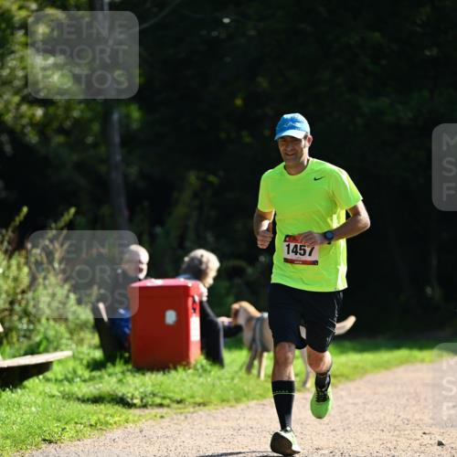 27.09.2026 - 35. Volkslauf durch das schöne Alstertal Dr. Thomas Lammeyer http://msf.ph/oto/10575886 27.09.2026 11:39:43 Laufen 1457 meine-sportfotos.de