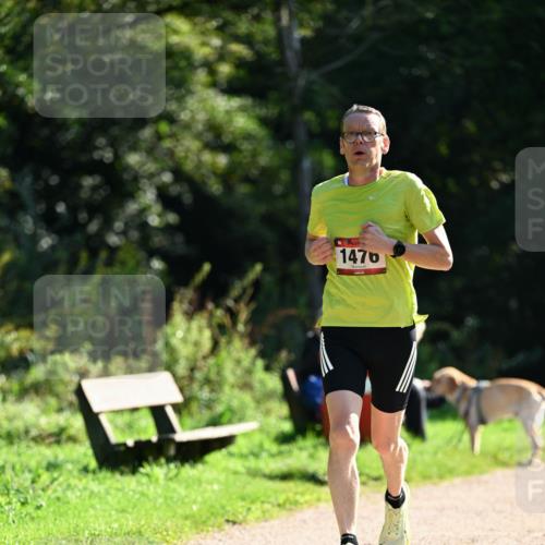 27.09.2026 - 35. Volkslauf durch das schöne Alstertal Dr. Thomas Lammeyer http://msf.ph/oto/10575922 27.09.2026 11:39:50 Laufen 1476 meine-sportfotos.de